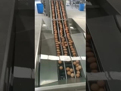 Μηχανή σπάσματος αυγών κάθετου τύπου