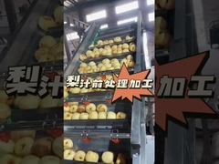 Πώς να εκτελείτε την προεπεξεργασία του χυμού αχλάδι