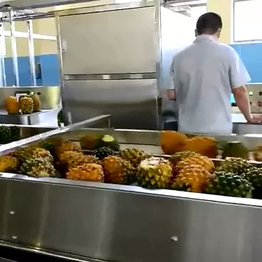 Υψηλής απόδοσης ολοκληρωμένη γραμμή επεξεργασίας ανανάς εξατομικευμένη μηχανή εργοστασίου παραγωγής ανανάς με PLC για τη βιομηχανία φρούτων