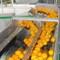 Αυτόματη γραμμή παραγωγής χυμού πορτοκαλιού εσπεριδοειδών