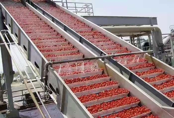Υψηλής απόδοσης εξατομικευμένη γραμμή επεξεργασίας βατόμουρου εργοστάσιο παραγωγής βατόμουρου / φράουλας / βατόμουρου χυμός βατόμουρου / πολτός / μαρμελάδα μηχανή με PLC