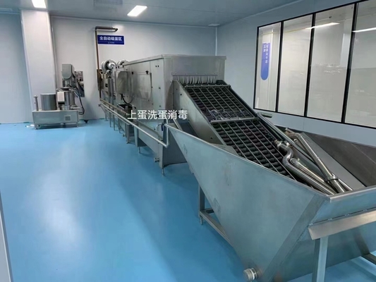 500-30000L / H εξατομικευμένη γραμμή επεξεργασίας αυγών ολοκληρωμένο εργοστάσιο παραγωγής αυγών αυγά υγρό μηχανή με PLC
