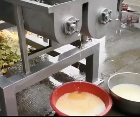 Μηχανή χυμό ανανάς με βίδα πιέζοντας βιομηχανικό εργοστάσιο