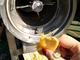 Ακατέργαστη γραμμή επεξεργασίας χυμού μάγκο φρούτων που αποστειρώνει 10T ανά ημέρα